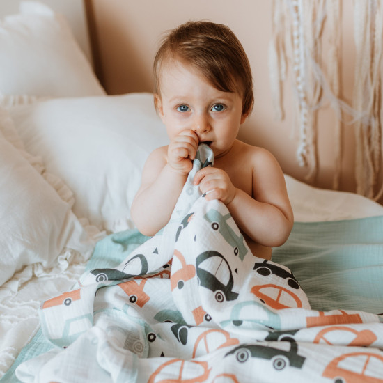 Muslin Car Print Blanket